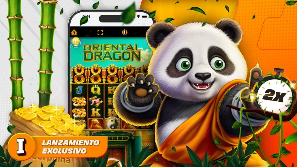 ZC-17714 &#8211; 05.06 &#8211; PROMO-BANNER